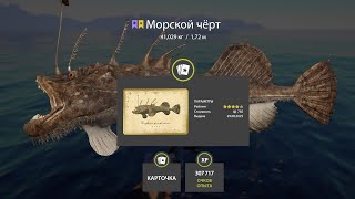 картинка: 📢СТРИМ РР4🔥УТРО НА ТРОФЕЙНОМ МОРЕ🔥РУССКАЯ РЫБАЛКА 4