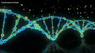 Miracle Nerve Regeneration l DNA Repair &amp; Healing l Miracle Frequency