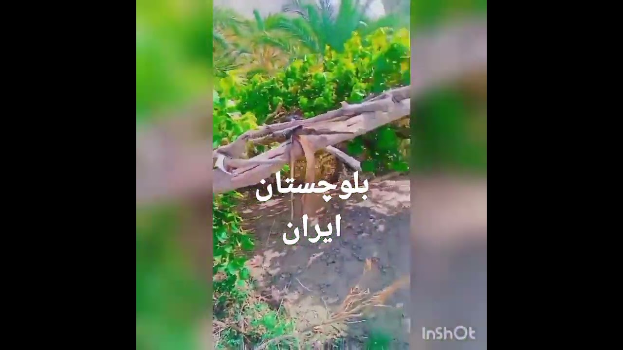 ۱۸ اکتبر ۲۰۲۳