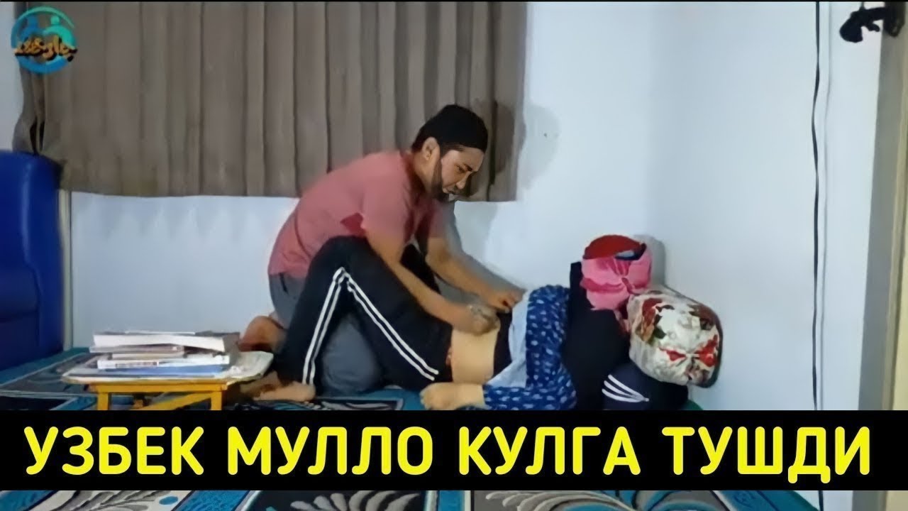 Мулои зинокор