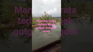 25 Juli 2025Mancing Cirata Terbaru Lapak Gutget Dongdot Omen