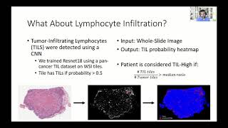 Analyzing spatial heterogeneity of tumor... - Jean Clemenceau - TransMed - Talk - ISMB/ECCB 2021