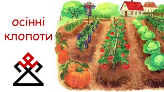 ОСІННІ КЛОПОТИ. Город. Кури.