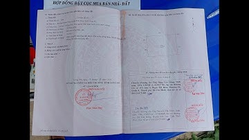 Bán Hồ câu cá giải trí ngay trung tâm Đức Hòa Long An giá 3ty550