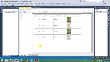 How to add PageNumber, Record Number, TotalPageCount in Crystal Report 13