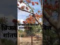 Nisarg Morning 🌅 | Short Video