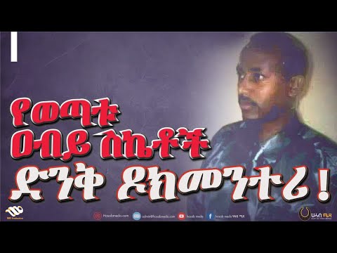 ቪዲዮ: ስኬቶች