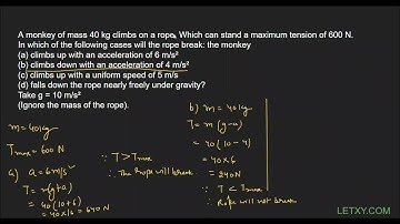 A monkey of mass 40 kg climbs on a rope. . .