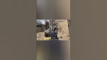 Rookie MVP Hard Point Win: #cod #codmobile #gaming #hardpointcodmobile #PDGIN