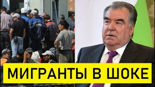 ТАДЖИКИ ПРИКУСИЛИ ЯЗЫКИ! Очень Плохие Вести Для Мигрантов Желающих Стать Гражданами России...