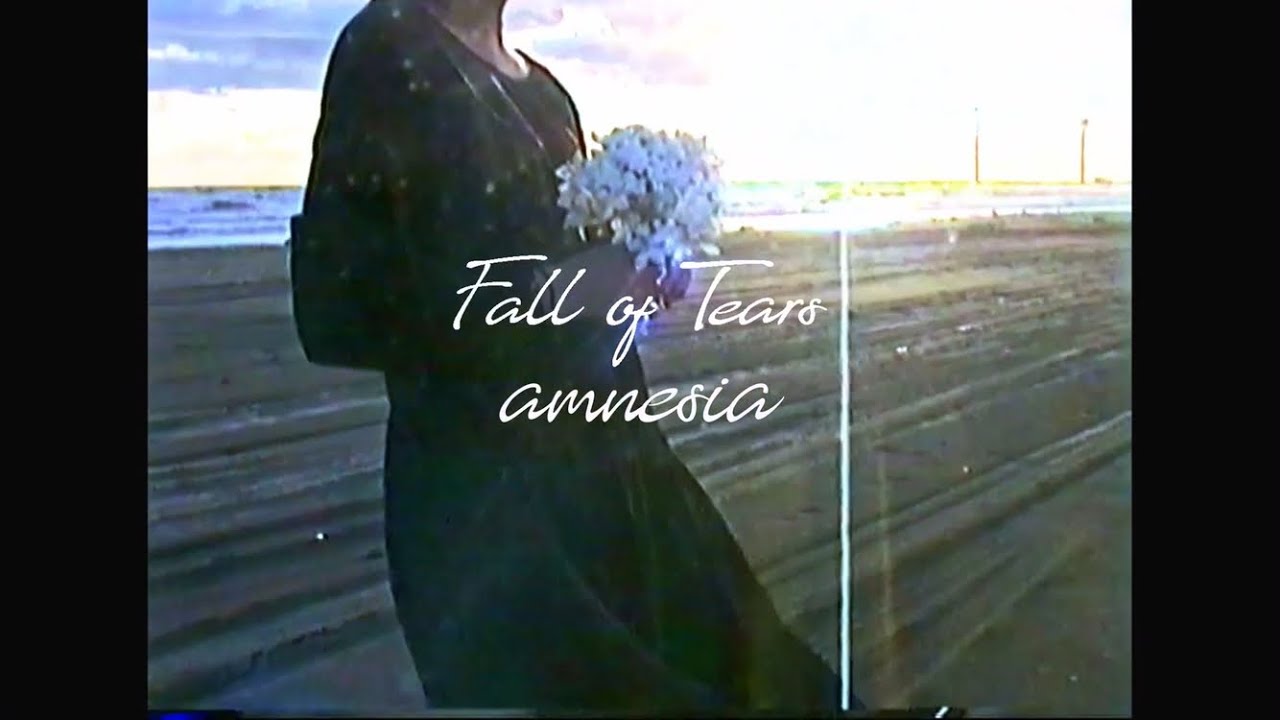 Fall Of Tears Amnesia Feat Yukirie Official Lyric Video Youtube