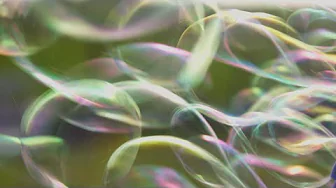 [MV] 한로로 (HANRORO) - 0+0