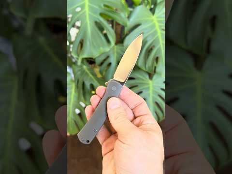 Ray Laconico Mini Keen Kaviso QSP OEM Titanium Framelock folder Minimal small S35VN  knife
