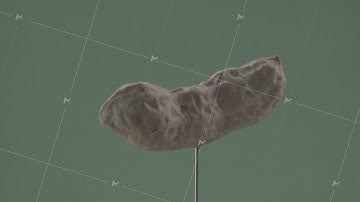 Peanut rotating with loop on green screen for chroma key