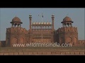 Wilderness films india stock footage showreel  view the best of the best