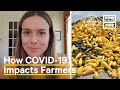 How Small Farms Adapt to COVID-19 Pandemic Shutdowns | One Small Step | NowThis