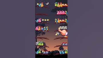 250609 EN BirdSort2 HUYDL 06a25 V 30