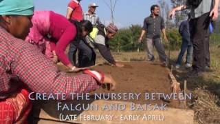 Macadamia Nursery built in Nepal