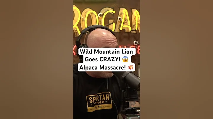 Joe Rogan on Wild Mountain Lion Goes CRAZY! 😱 Alpaca Massacre! 💥