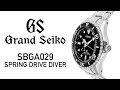 Grand Seiko SBGA029 Spring Drive 200m Dive Watch Review