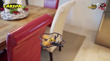 X4 Quadcopter Angry Bug & Hornet 2.4G 100% RTF (500507135, 500507136)