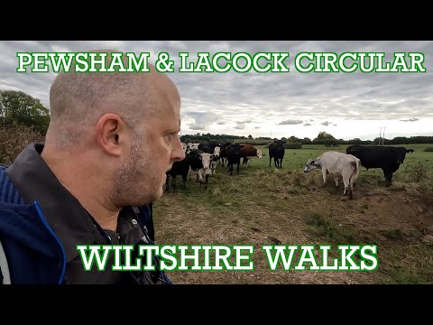 Pewsham & Lacock