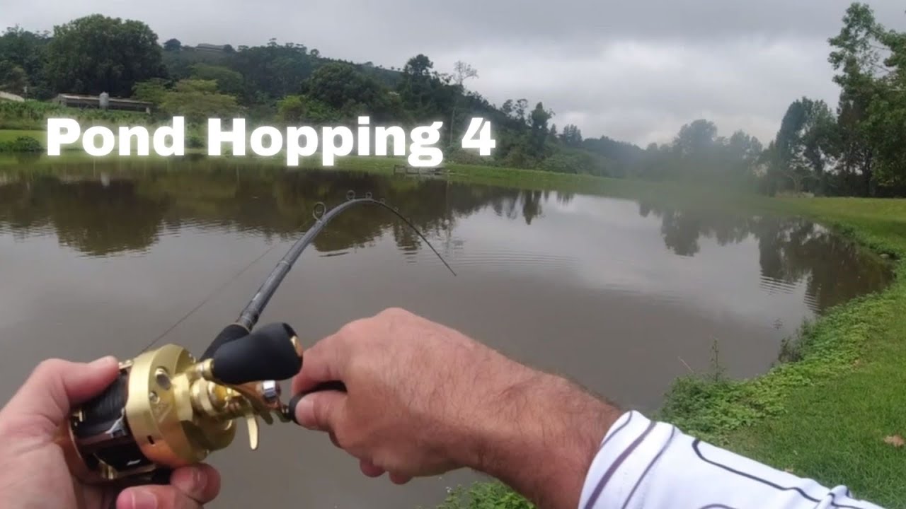 I CANT BELIEVE I CAUGHT THIS GIANT BASS AT MY LOCAL POND ON A GLIDE BAIT! Pond Hopping Series ep4