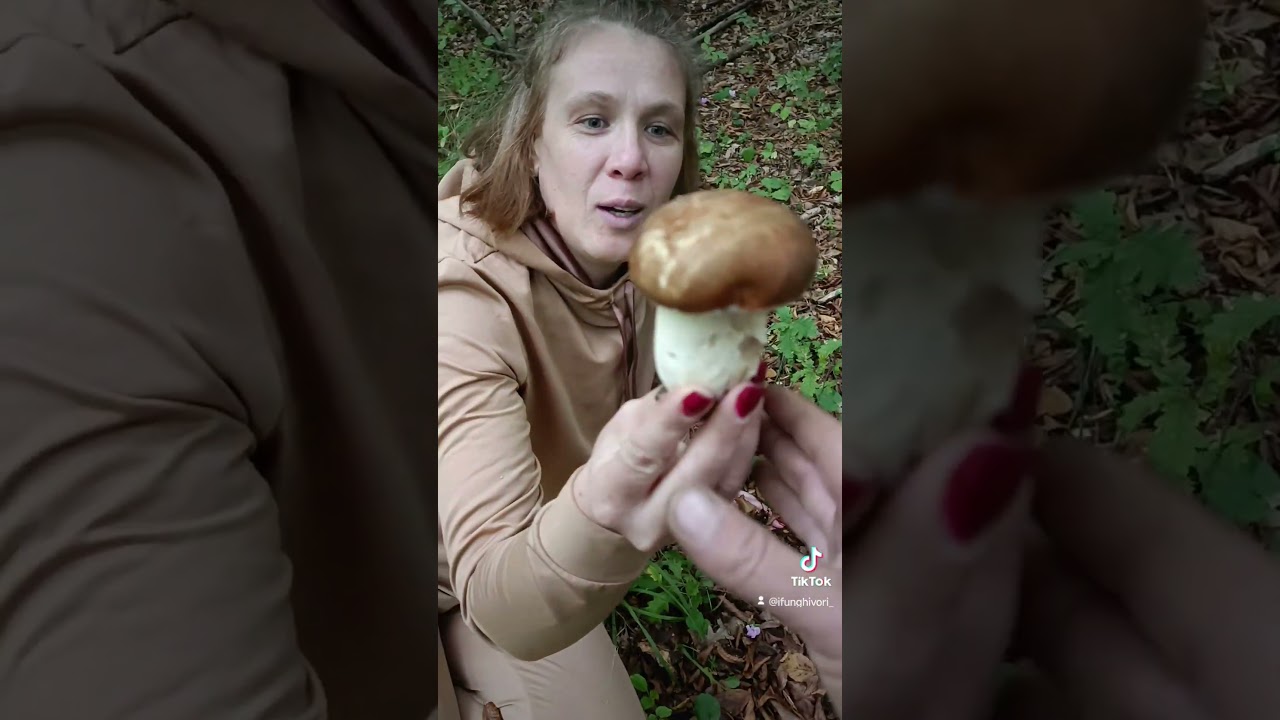 Fungo porcino e matrimonio....28/09/2025 