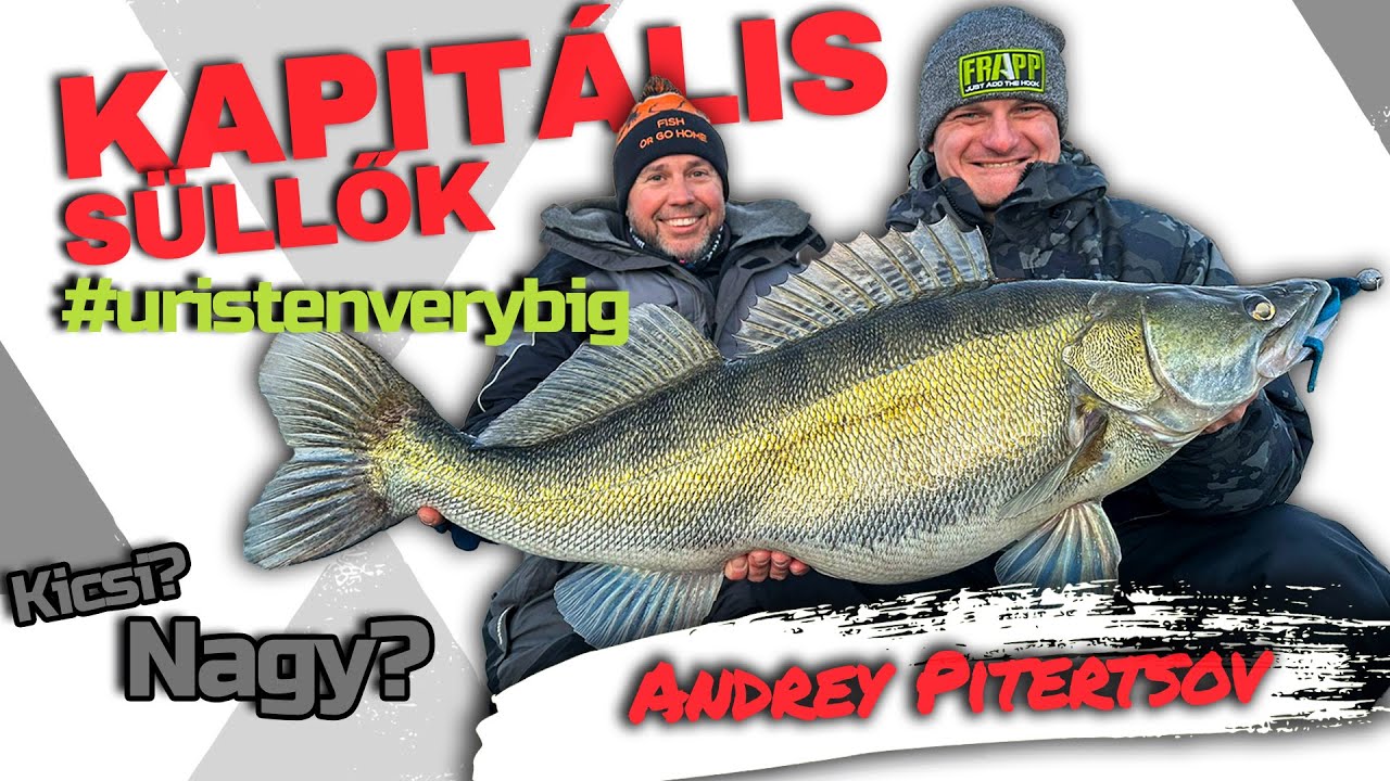 A kapitális süllő horgászat legfontosabb alapjai - Andrey Pitertsov - Varga Pál (1.rész Tisza folyó)