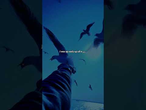 All I Want Is You Rebzyyx Lyrics Aesthetic Whatsapp Status English Songs Slowed Lyrics