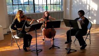 Jesu Joy of Man’s Desiring String Trio, City Six Strings
