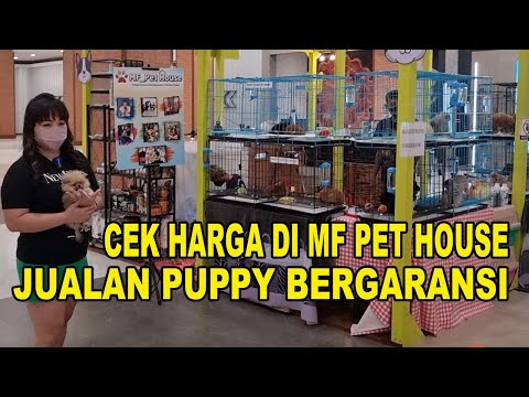 house of pets