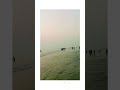 سمندر کی سیر کرنے کا مزہ ہی الگ ہے ❤