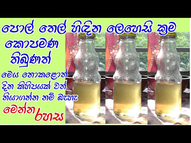 ගෙදරදීම පිරිසිදු පොල්තෙල් සකස් කර කල් තබාගන්න ආකාරය | Virgin coconut oil | Polthel hidina akaraya