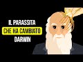 Le Creature Che Darwin Odiava Di Più Lo Hanno Portato Alla Fama Mondiale