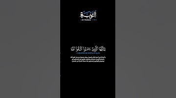 سورة التوبة:الآية[١١٩]#القرآن_الكريم #الفرقان #سورة_التوبة #ماهر_المعيقلي #تلاوة #تلاوة_مؤثرة #قران