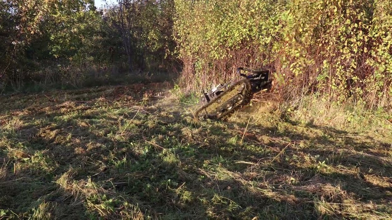 Tank vs Tree: Oops, Took a Branch 😅 | Tanks pret koku: zars nāk līdzi 😂