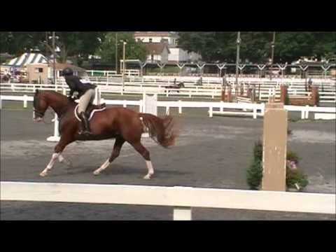 Revolution at Quentin Riding Club Fall Show September 1 thru 4, 2011 ...