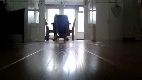 Fx Guru App Test Video