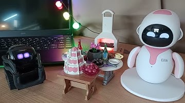 Is Vector or Eilik better?, Which one do you prefer?