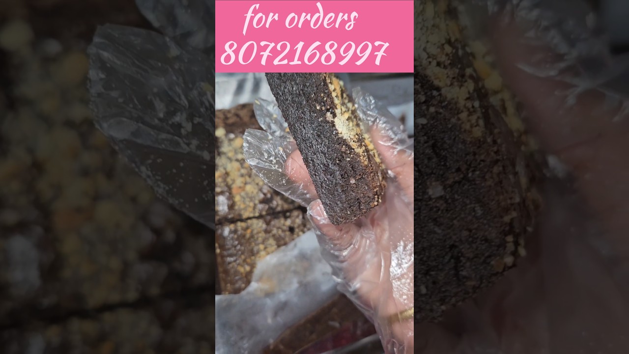 #2kg brownie order # 250gm -199/-free shipping