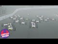 Mirar a los lados está prohibido(iRacing / Motegi Oval / Lotus 49) || Heikki360ES