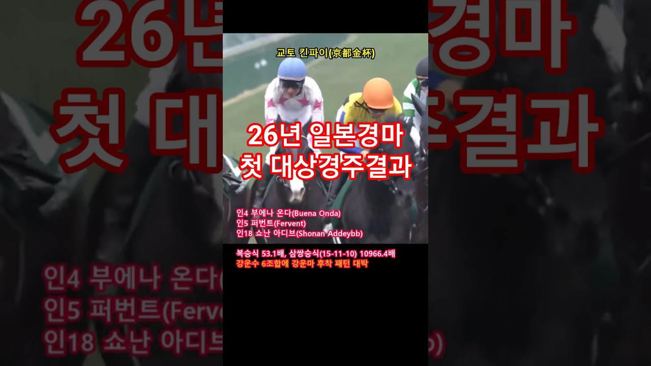 1/4 일요일 신년 첫 일본중앙경마 대상경주 나카야마, 교토 킨파이 결과 패턴 분석
