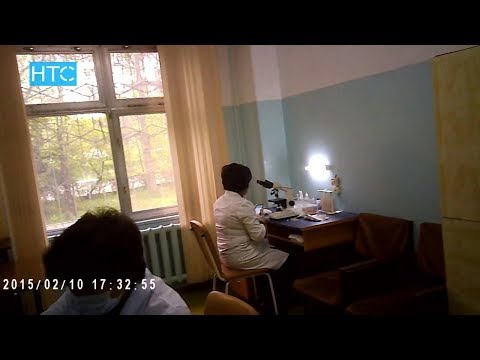 Эксперимент: вместо мочи на анализ отправили чай / 24.04.18 / НТС