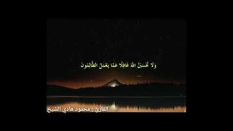 من اخر سورة إبراهيم للقارئ محمود هادي الشيخ