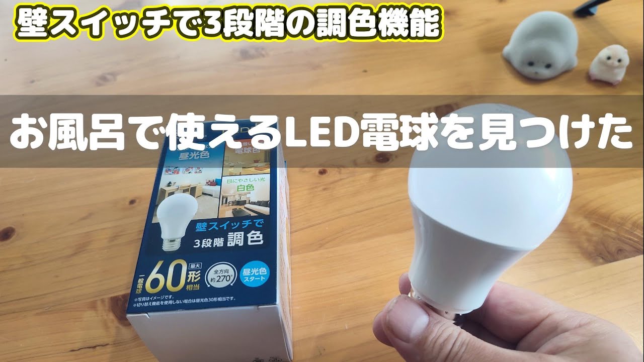 風呂 の 電球