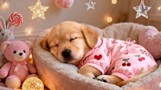 Peaceful Puppy Music 🐾 3 Hours of Relaxing Music for Dogs | Stress Relief & Sleep