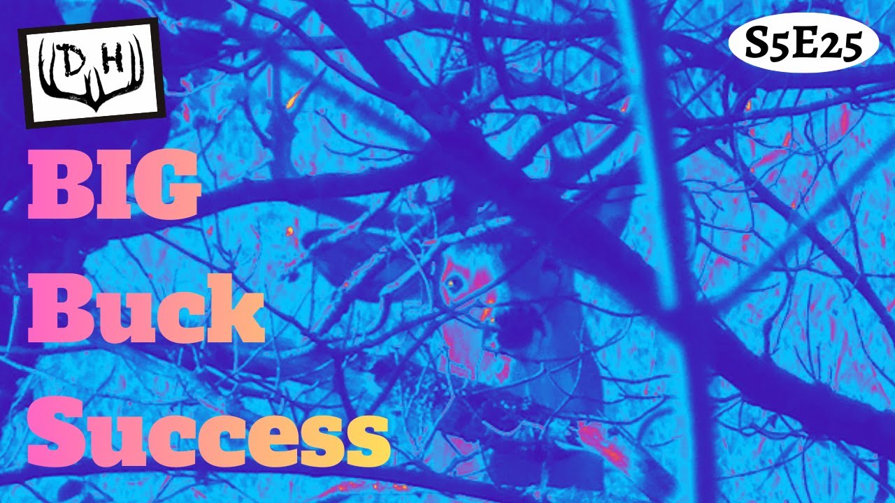 Обзор сезона охоты на оленей | Пушистые останки взрослых оленей и полный морозильник