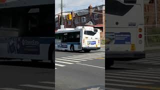It's Bus Time: B17 Orion Vll NG #3977 at Remson Ave passing by a malfunctioning traffic light
