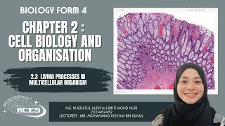 BIOLOGY FORM 4 CHAPTER 2.3 (LIVING PROCESSES IN MULTICELLULAR ORGANISMS)